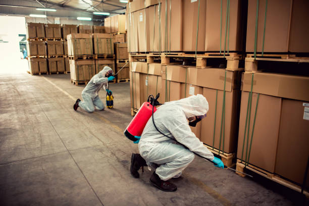 Best Affordable Pest Control Services  in Scott City, MO