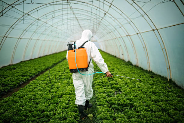 Best Mosquito Control Services  in Scott City, MO