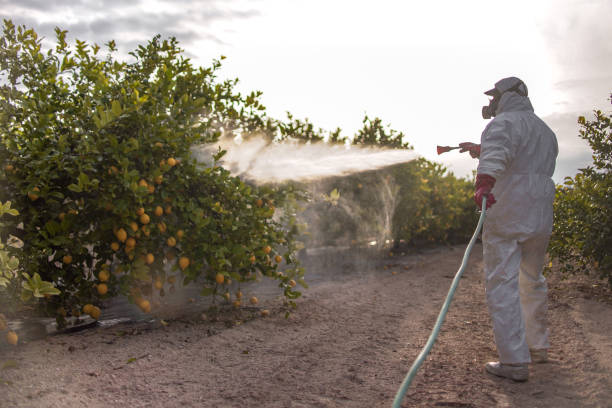 Professional Pest Control in Scott City, MO