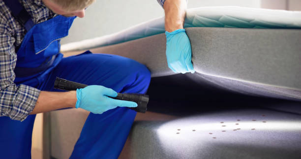 Best Rat Extermination Near Me  in Scott City, MO
