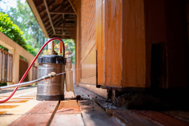 Best Mosquito Control Services  in Scott City, MO
