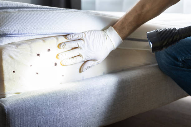 Best Commercial Pest Control Services  in Scott City, MO