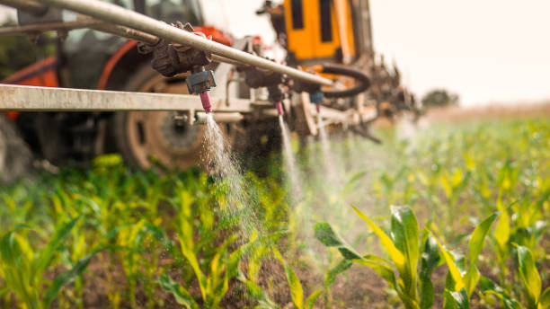 Best Ant Control Services  in Scott City, MO